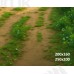 Tło fotograficzne Las 3613